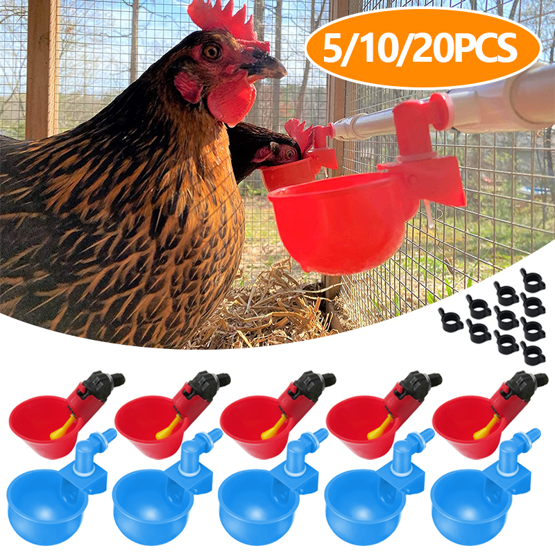 5/10/20Pcs Automatic Chicken Waterer Drinking Bowls Bird Quail Water Feeder Drinker Chicken Water Cups for Backyard Farm Poultry