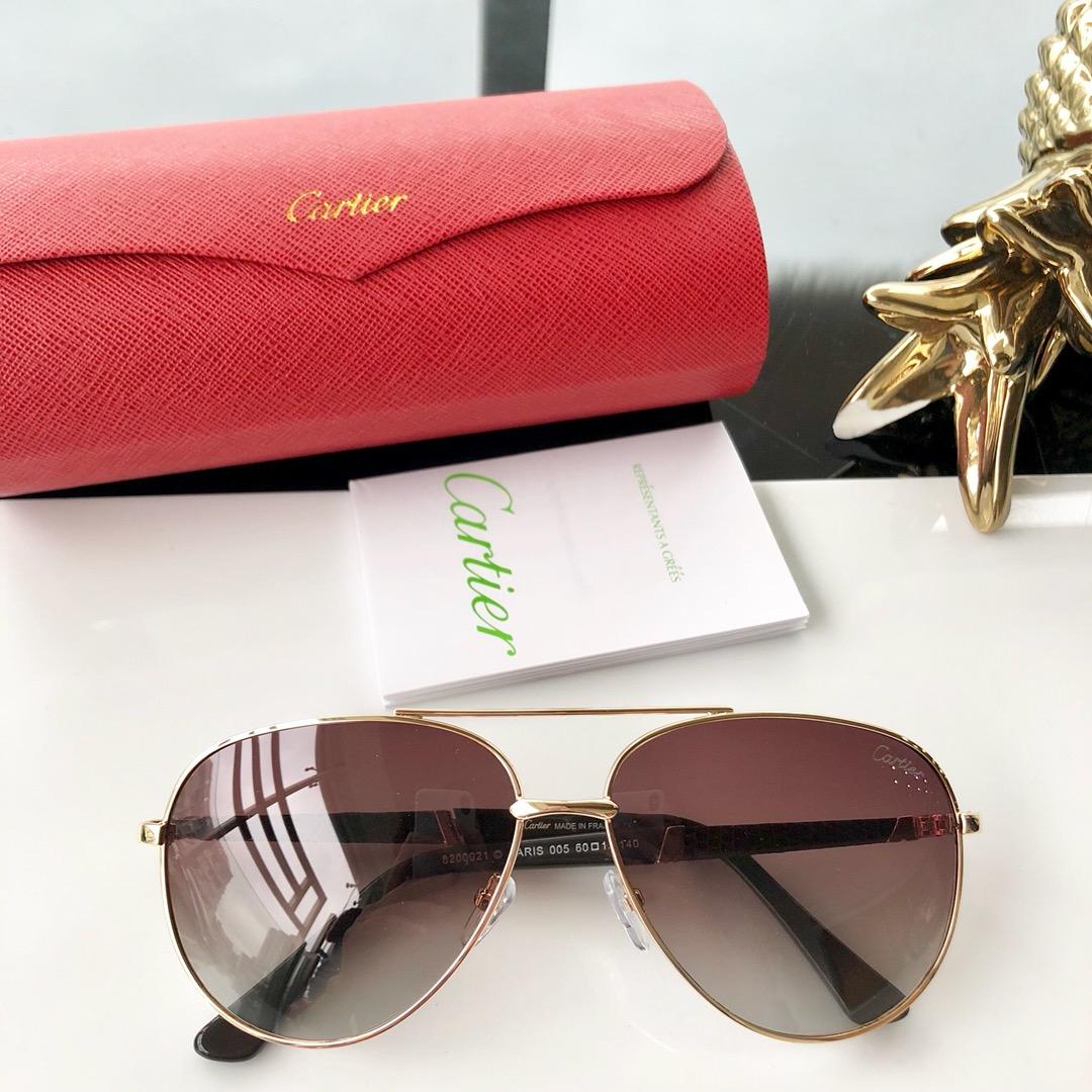 Cartier Men’s Sunglasses ASS650034