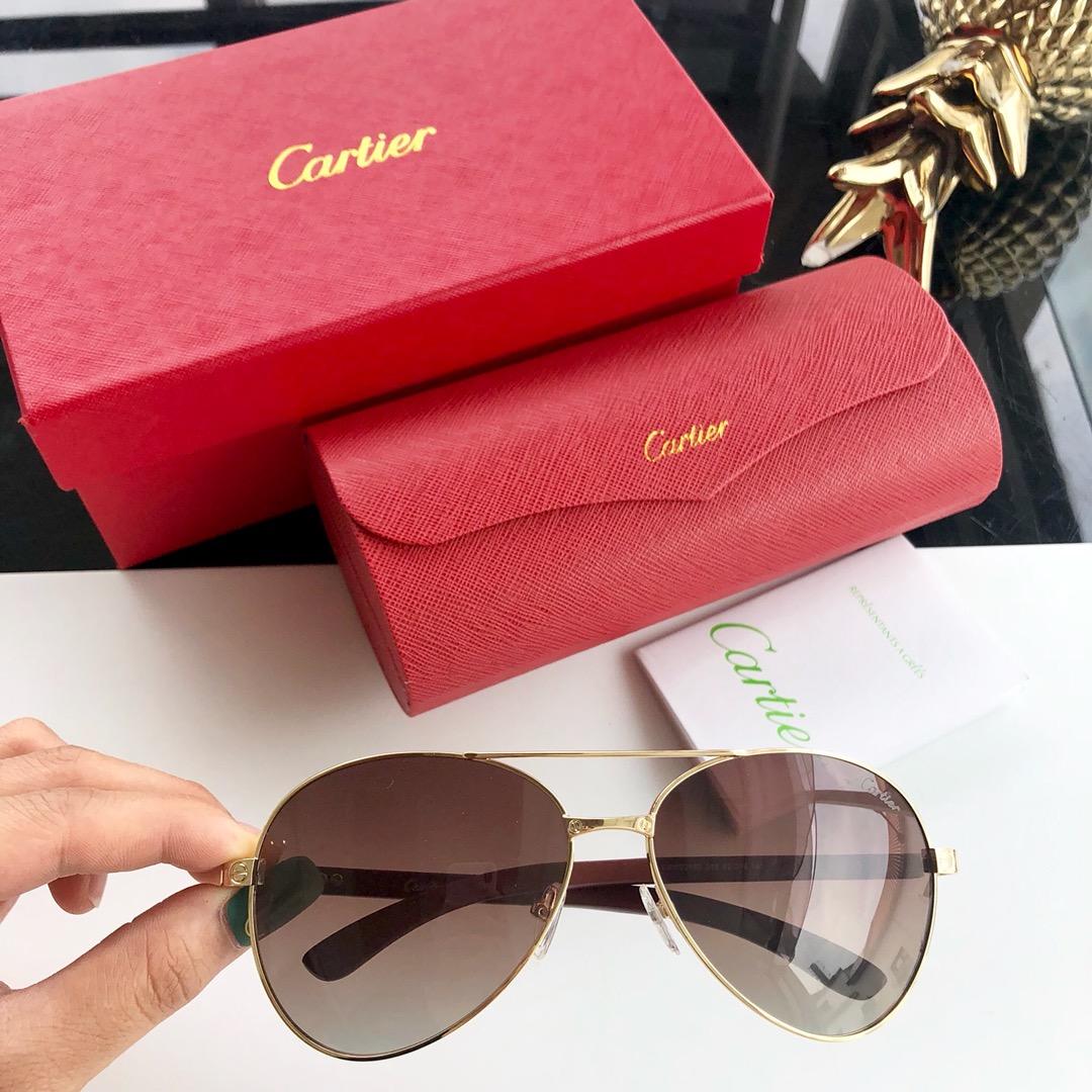 Cartier Men’s Sunglasses ASS650021